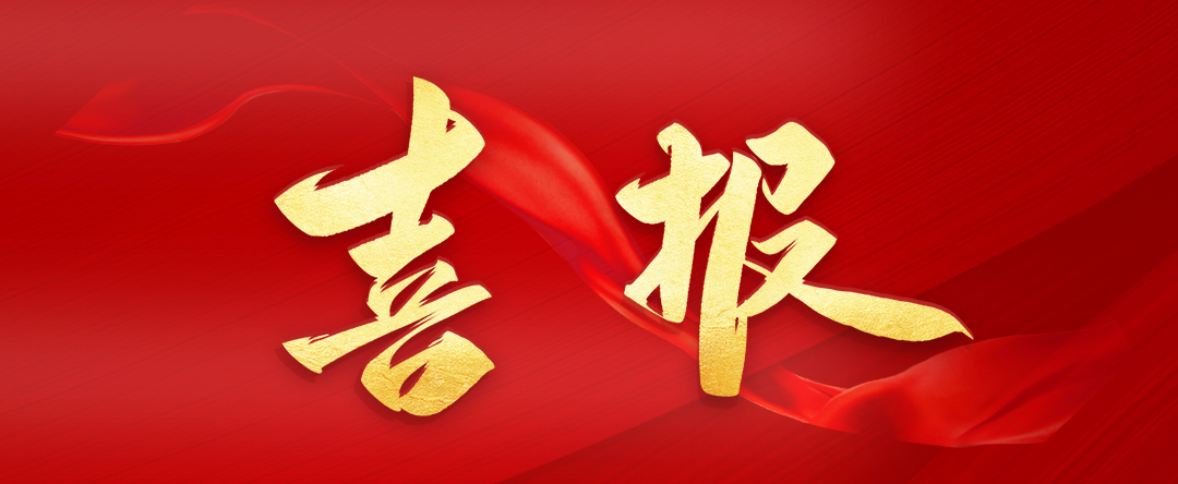 全市唯一！安徽EMC易倍(中国)科技产业（集团）有限公司与宿州市高新区管委会、宿州学院联合申报“安徽省专利导航服务基地”成功获批